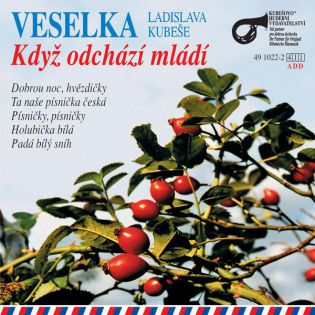 Když odchází mládí / CD-pouze 1 ks